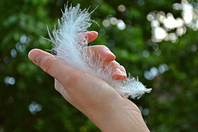 feather 1078424 640