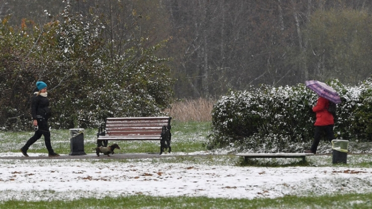 Мокрый снег в Москве может выпасть уже в эти выходные