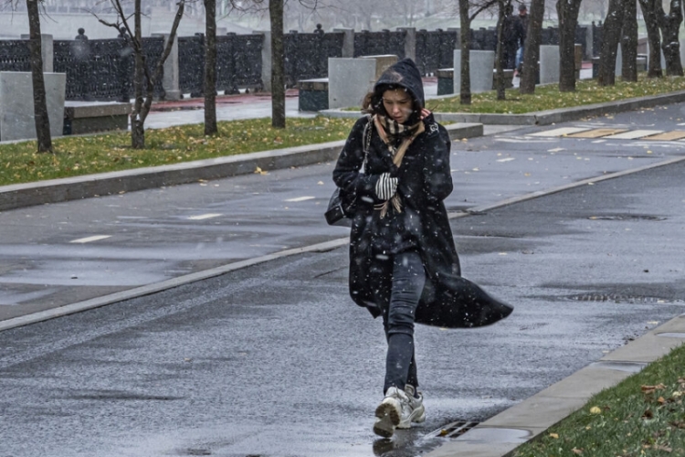 В Москве выпал первый снег