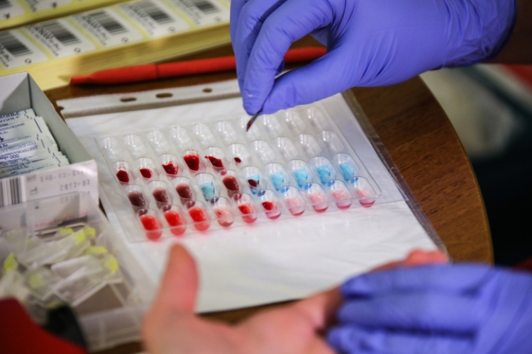 Врач перечислил причины снижения уровня тромбоцитов в крови